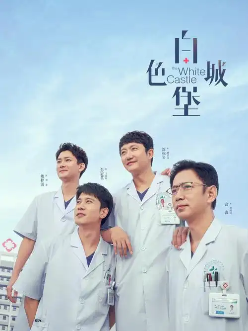 同类秘书题材剧集封面
